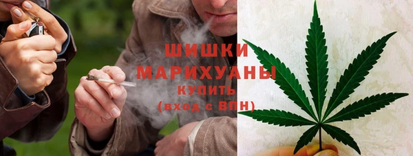 ПСИЛОЦИБИНОВЫЕ ГРИБЫ Аркадак