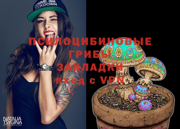 ПСИЛОЦИБИНОВЫЕ ГРИБЫ Аркадак