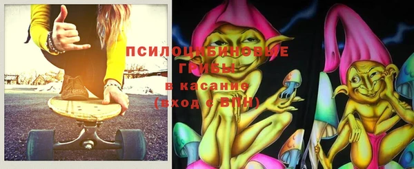 эйфоретик Арсеньев